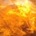 Flame Front Simulator