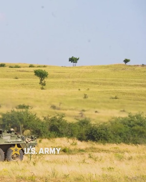 Live Fire Exercises