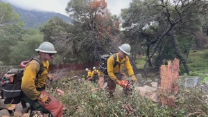 Chantry Flat Fuels Reduction