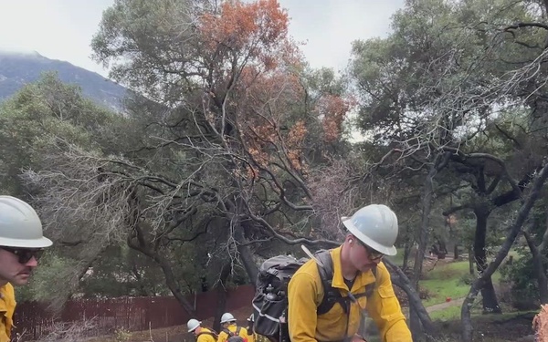 Chantry Flat Fuels Reduction