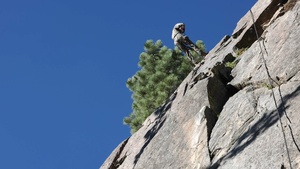 B-Roll: 1st Bn, 5th Marines rappel from cliff during MTX 4-25