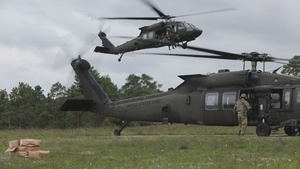 501st Aviation Regiment Partners with Allies in Exercise Saber Junction 25