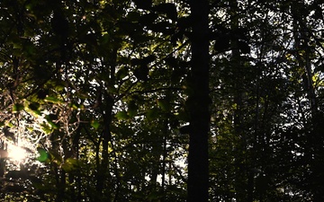 Soldiers and ANG conduct ambush drill at Sage Eagle 25-4