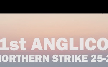 NS25: 1st ANGLICO Coordinates Close Air Support