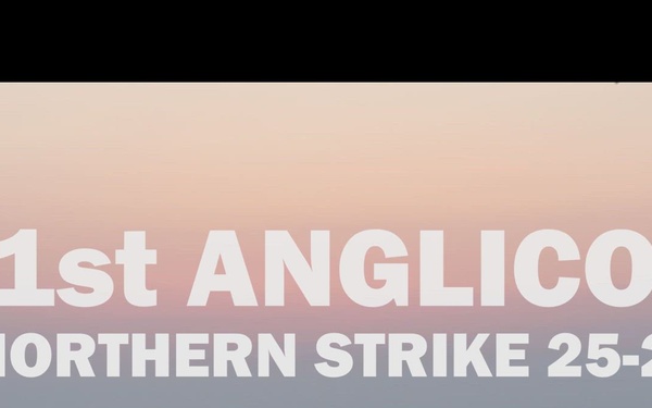 NS25: 1st ANGLICO Coordinates Close Air Support