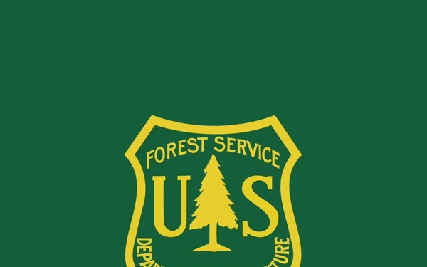 An Aerial Eye on the Forest