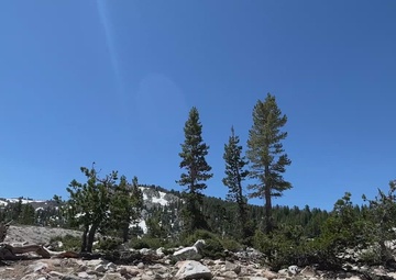Inyo National Forest Landscape B-roll