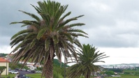 Kentucky Air Guard civil engineers strengthen operational readiness in the Azores