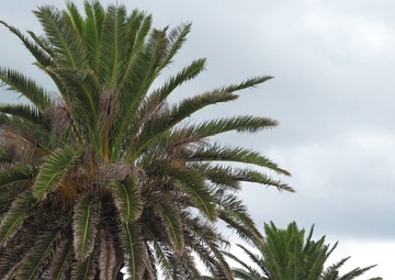 Kentucky Air Guard civil engineers strengthen operational readiness in the Azores