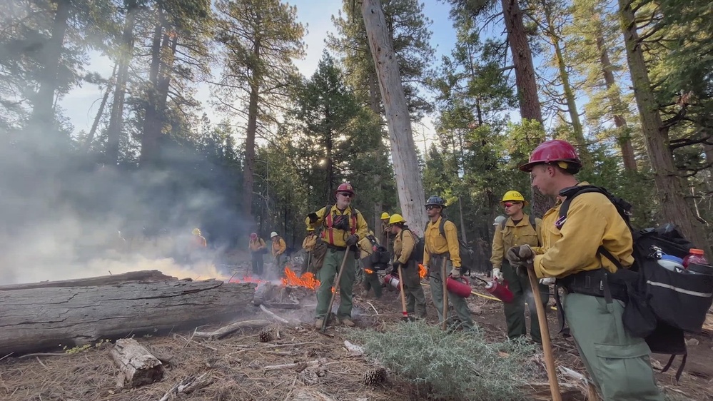 DVIDS - Video - Timing of Fire Study