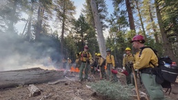 Timing of Fire Study