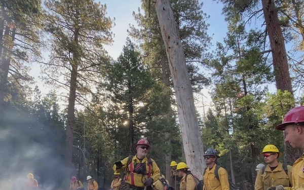 Timing of Fire Study