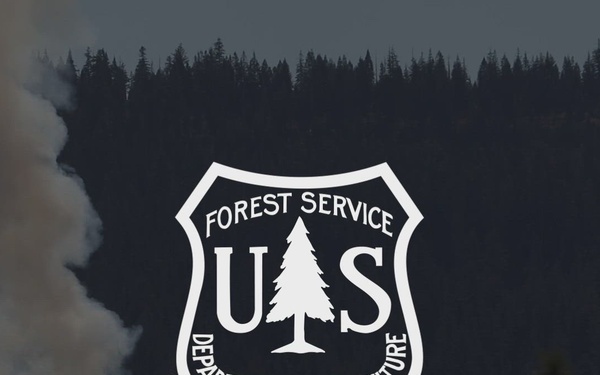 Timing of Fire Study