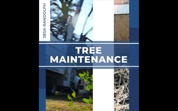 Tree trimming on JBSA-Randolph