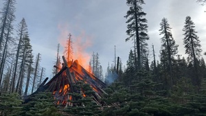 Plumas National Forest Pile Burn