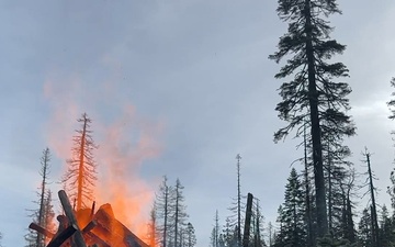 Plumas National Forest Pile Burn