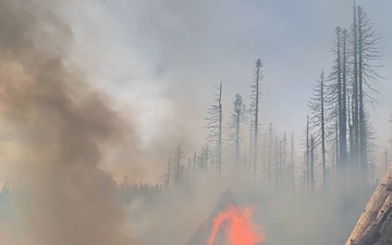 Plumas National Forest Pile Burn