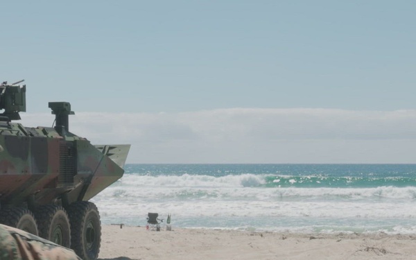 U.S. Marines with 1st MARDIV conduct amphibious combat vehicle pre-deployment surf operations