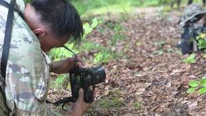 Viper Team Brings Multinational Training Into Focus at Saber Junction 25