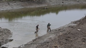Several agencies use muscles to relocate mussels, fish in Red River of the North