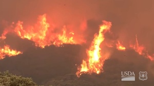 French Fire: Defending a Mountaintop Town