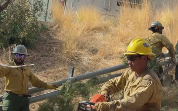 Clearing Brush