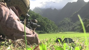 Exercise DELAYEN: 3rd ANGLICO Live-Fire Range in Tahiti