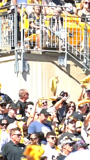Cut: Steelers fly over