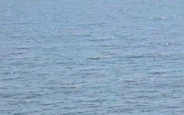 Coast Guard Air Station Houston Air Crew Observes Their Rescue Swimmer Assist 3 Boaters from Capsized Vessel