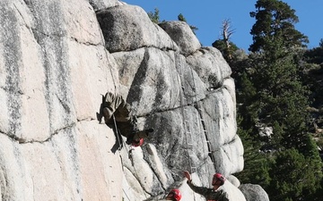 B-Roll: 1st Bn., 5th Marines conduct cliff assault with UAE Presidential Guard during MTX 4-25