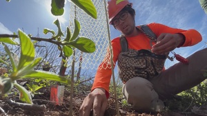 Science and Reforestation