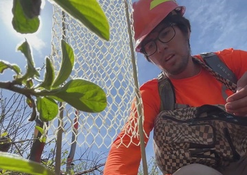 Science and Reforestation