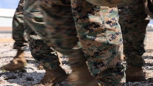 U.S. Army conducts beach rehearsals with 3rd LLB