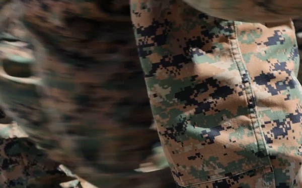 U.S. Army conducts beach rehearsals with 3rd LLB