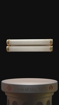 Day 4 - Week of the NCO - Sgt. 1st Class Charles William Turner