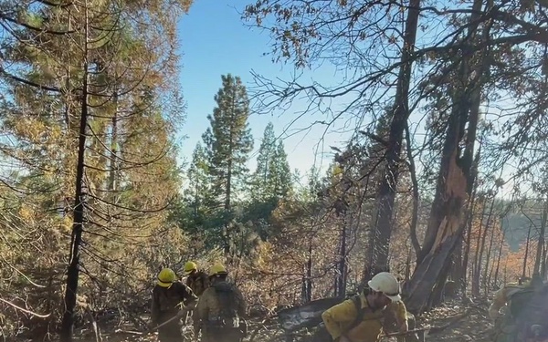 Mosquito Fire Mop Up