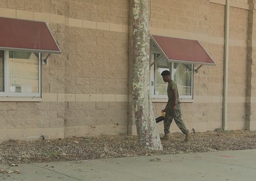 B-Roll: Marines with 2nd Battalion, 11th Marines conduct Operation Clean Sweep III