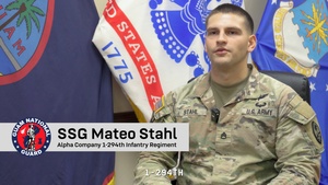 Soldier/NCO of the year feature