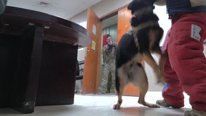 386th ESFS K-9 CQB Training