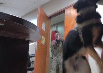 386th ESFS K-9 CQB Training