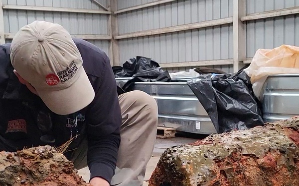 Removing the wad from the bore