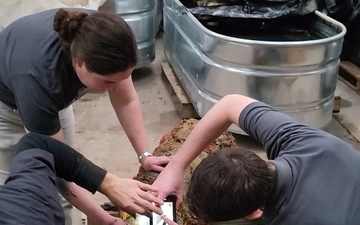 Revolutionary war cannon wad removal