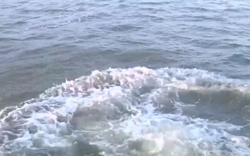Divers raising cannon found in Savannah River 2015