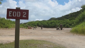 U.S. Marines with 9th Engineer Support Battalion conduct explosive ordinance disposal training for Resolute Dragon 25 