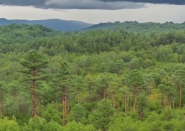 Restoring Hope: The USACE Hurricane Helene Recovery Mission
