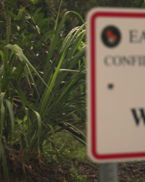 Indo-Pacific servicemembers conduct Pre-Ranger course (SURT) in Hawaii