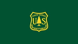 Flame Front Simulator