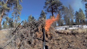 Kaibab Pile Burn (B-Roll)