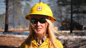 Kaibab National Forest Flying J Pile Burning (B-Roll)