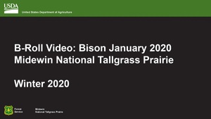 Midewin National Tallgrass Prairie - Winter 2020 Broll Bison Broadcast